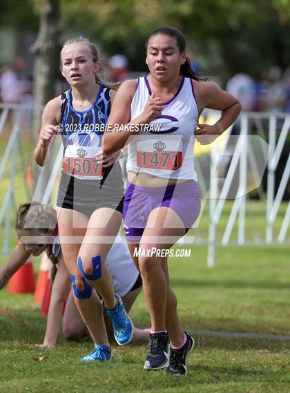 Thumbnail 2 in UIL Cross Country 4A Finals (3200M) photogallery.