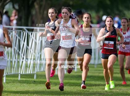 Thumbnail 2 in UIL Cross Country 4A Finals (3200M) photogallery.