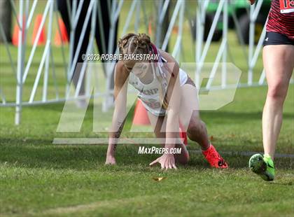 Thumbnail 1 in UIL Cross Country 4A Finals (3200M) photogallery.