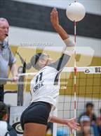 Photo from the gallery "Topsail @ Gray's Creek"