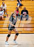 Photo from the gallery "McClatchy @ Laguna Creek"