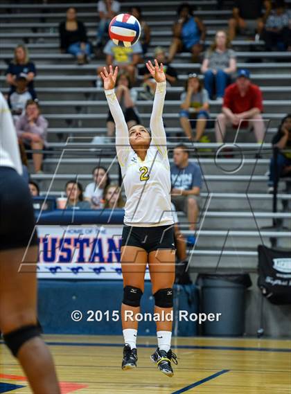 Thumbnail 1 in Texas vs Garland (Garland ISD Volleyball Tournament) photogallery.