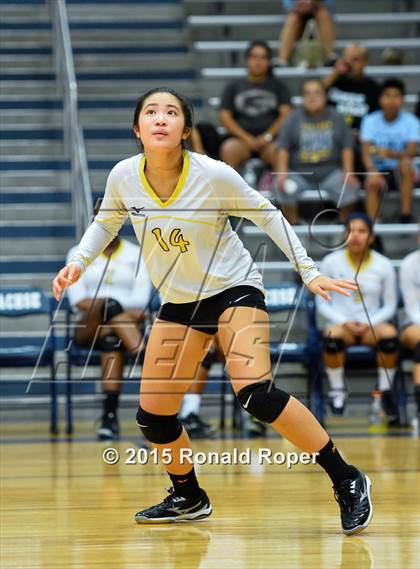 Thumbnail 1 in Texas vs Garland (Garland ISD Volleyball Tournament) photogallery.