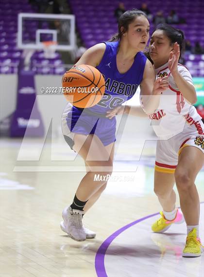 Thumbnail 3 in Carbon vs. Judge Memorial (UHSAA 3A Quarterfinal) photogallery.