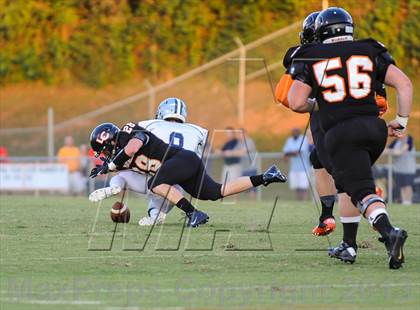 Thumbnail 2 in Farragut @ Lenoir City photogallery.