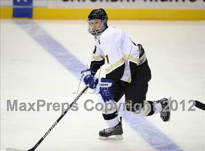 Thumbnail 2 in Iona Prep @ St. Anthony's (Islanders Nassau Coliseum Series) photogallery.