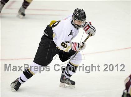 Thumbnail 2 in Iona Prep @ St. Anthony's (Islanders Nassau Coliseum Series) photogallery.