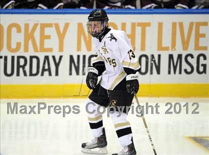 Thumbnail 1 in Iona Prep @ St. Anthony's (Islanders Nassau Coliseum Series) photogallery.