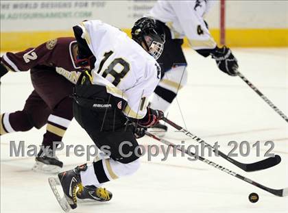 Thumbnail 3 in Iona Prep @ St. Anthony's (Islanders Nassau Coliseum Series) photogallery.