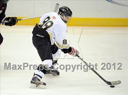 Thumbnail 2 in Iona Prep @ St. Anthony's (Islanders Nassau Coliseum Series) photogallery.