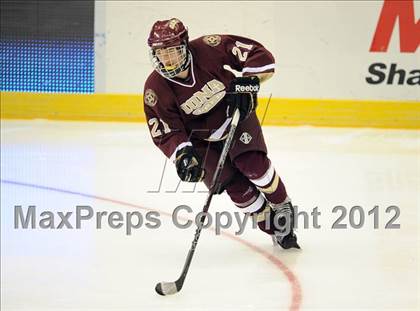 Thumbnail 1 in Iona Prep @ St. Anthony's (Islanders Nassau Coliseum Series) photogallery.