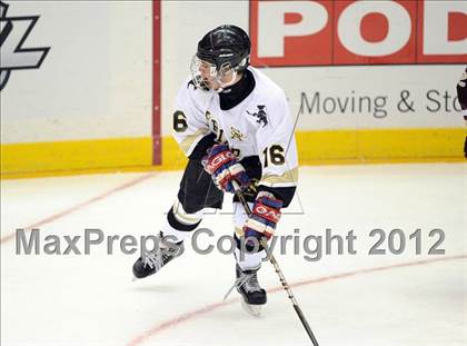Thumbnail 1 in Iona Prep @ St. Anthony's (Islanders Nassau Coliseum Series) photogallery.