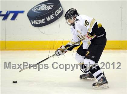 Thumbnail 2 in Iona Prep @ St. Anthony's (Islanders Nassau Coliseum Series) photogallery.