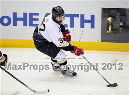 Thumbnail 1 in Iona Prep @ St. Anthony's (Islanders Nassau Coliseum Series) photogallery.