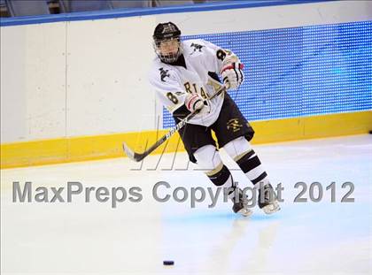 Thumbnail 3 in Iona Prep @ St. Anthony's (Islanders Nassau Coliseum Series) photogallery.