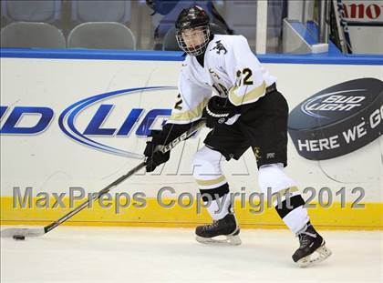 Thumbnail 2 in Iona Prep @ St. Anthony's (Islanders Nassau Coliseum Series) photogallery.