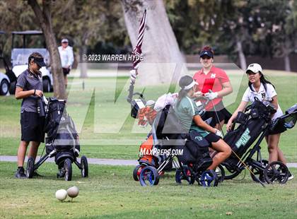Thumbnail 1 in Metro League Meet at Yolo Fliers Club photogallery.