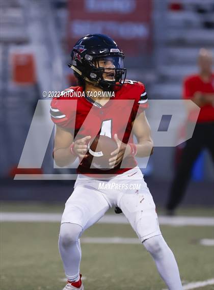 Thumbnail 1 in Terry vs. Lamar Consolidated photogallery.
