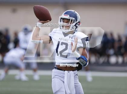 Thumbnail 1 in Terry vs. Lamar Consolidated photogallery.
