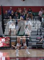 Photo from the gallery "Stratford @ Memorial"