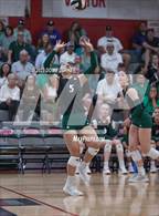 Photo from the gallery "Stratford @ Memorial"