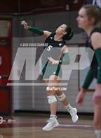 Photo from the gallery "Stratford @ Memorial"