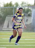 Photo from the gallery "Rouse @ McAllen (Uil Region IV 5A D1 Regional Semifinals Soccer)"