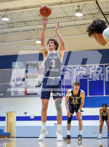 Thumbnail 2 in Aquinas vs St. Michael the Archangel - Sonic Showdown photogallery.