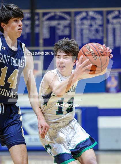 Thumbnail 2 in Aquinas vs St. Michael the Archangel - Sonic Showdown photogallery.