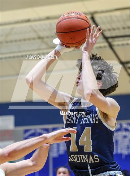 Thumbnail 1 in Aquinas vs St. Michael the Archangel - Sonic Showdown photogallery.