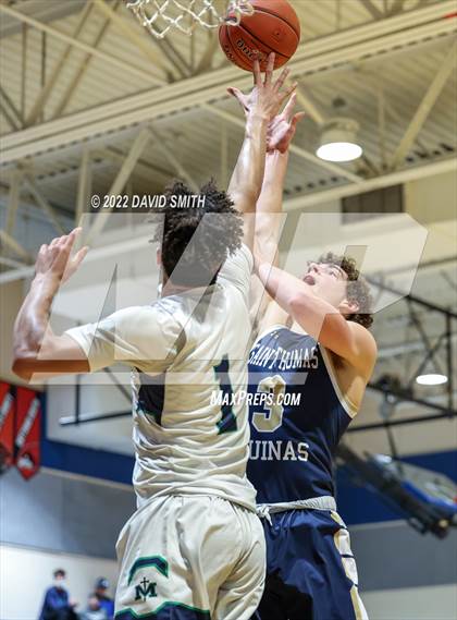 Thumbnail 1 in Aquinas vs St. Michael the Archangel - Sonic Showdown photogallery.