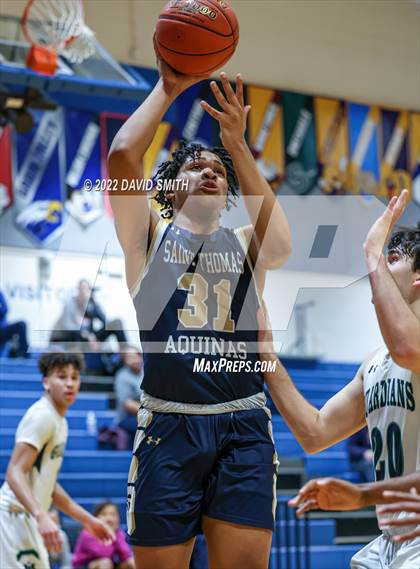 Thumbnail 3 in Aquinas vs St. Michael the Archangel - Sonic Showdown photogallery.
