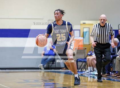 Thumbnail 3 in Aquinas vs St. Michael the Archangel - Sonic Showdown photogallery.