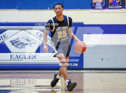 Thumbnail 1 in Aquinas vs St. Michael the Archangel - Sonic Showdown photogallery.