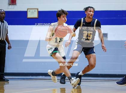 Thumbnail 3 in Aquinas vs St. Michael the Archangel - Sonic Showdown photogallery.