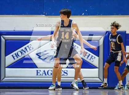 Thumbnail 1 in Aquinas vs St. Michael the Archangel - Sonic Showdown photogallery.