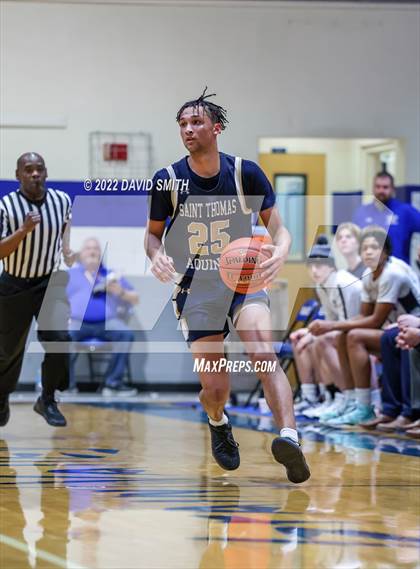 Thumbnail 2 in Aquinas vs St. Michael the Archangel - Sonic Showdown photogallery.