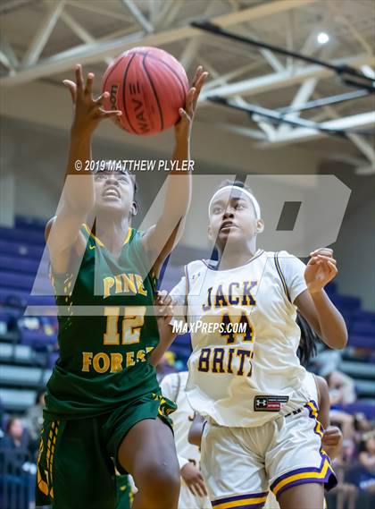 Thumbnail 3 in Pine Forest @ Jack Britt photogallery.