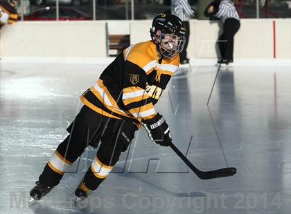 Thumbnail 1 in Lutheran South vs Oakville (St. Louis Winter Classic) photogallery.
