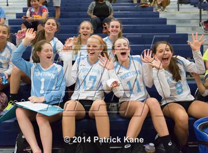 Thumbnail 2 in Herndon @ Yorktown photogallery.