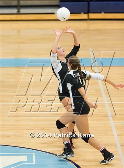 Thumbnail 2 in Herndon @ Yorktown photogallery.