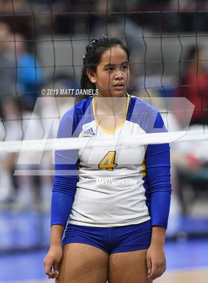 Thumbnail 1 in Rampart vs. Mountain Vista (CHSAA 5A Playoff) photogallery.