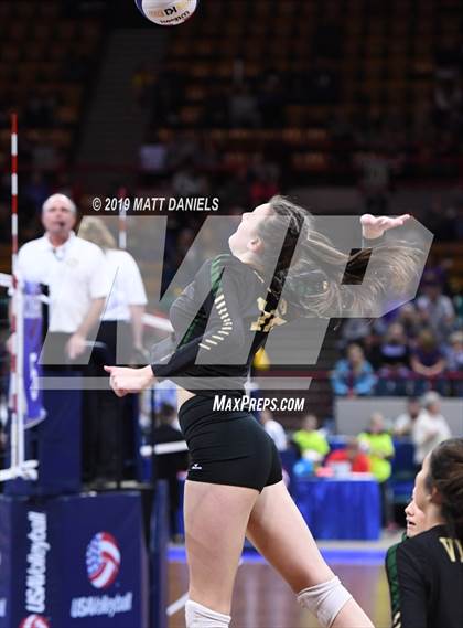 Thumbnail 1 in Rampart vs. Mountain Vista (CHSAA 5A Playoff) photogallery.