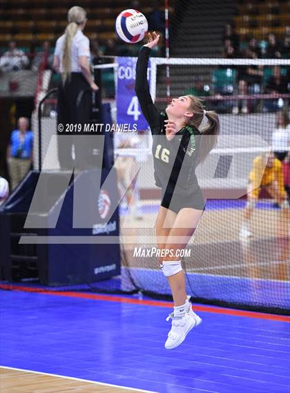 Thumbnail 1 in Rampart vs. Mountain Vista (CHSAA 5A Playoff) photogallery.