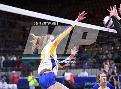 Thumbnail 1 in Rampart vs. Mountain Vista (CHSAA 5A Playoff) photogallery.