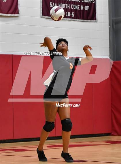 Thumbnail 3 in Hall vs Rose Bud photogallery.