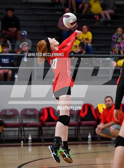 Thumbnail 1 in Hall vs Rose Bud photogallery.