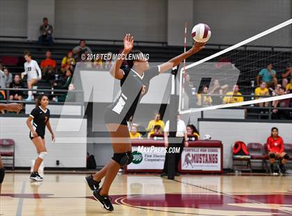 Thumbnail 3 in Hall vs Rose Bud photogallery.