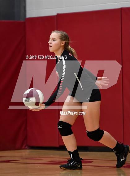 Thumbnail 3 in Hall vs Rose Bud photogallery.