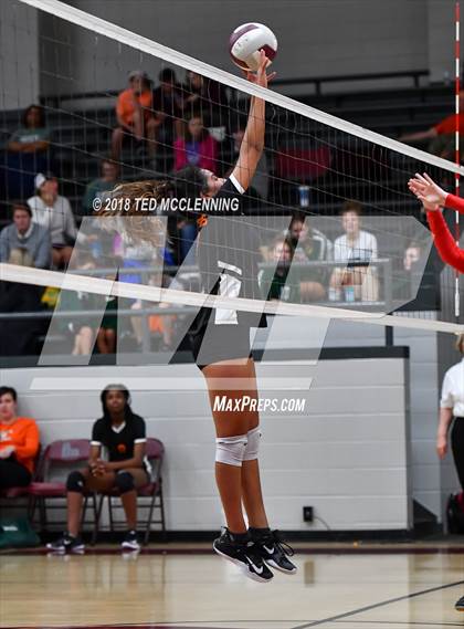 Thumbnail 2 in Hall vs Rose Bud photogallery.